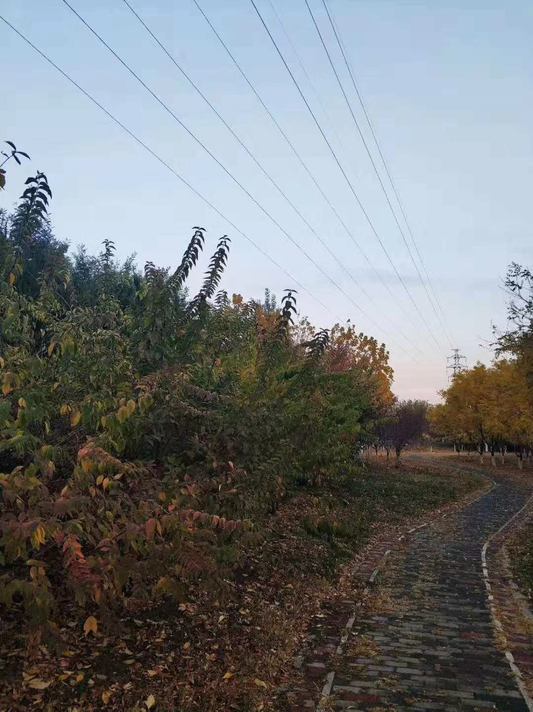 晨辉下的街景晨风拂过湖面却掀起了碧波无数