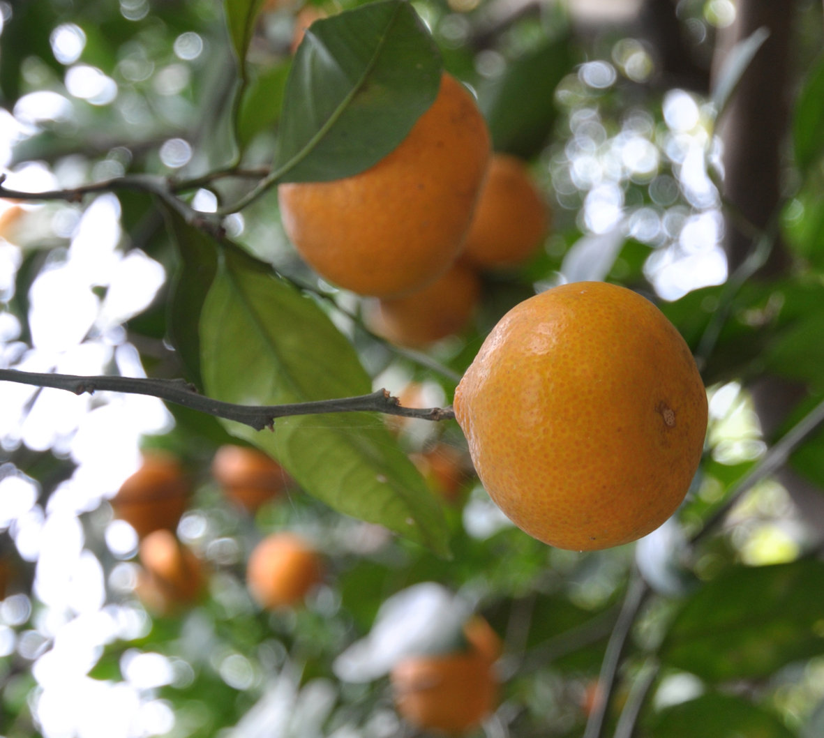 浅吟低唱,细心领会唐诗里的意境,让唐诗的情怀融化到血液中