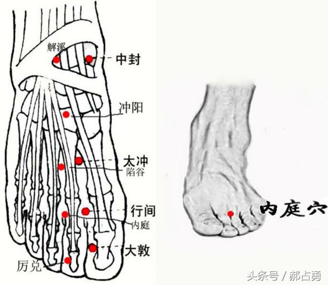 每日一穴:内庭穴