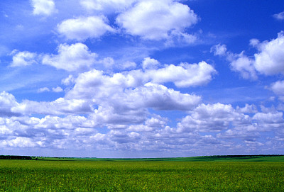 内蒙古呼伦贝尔草原风光,蓝天白云,风景秀美