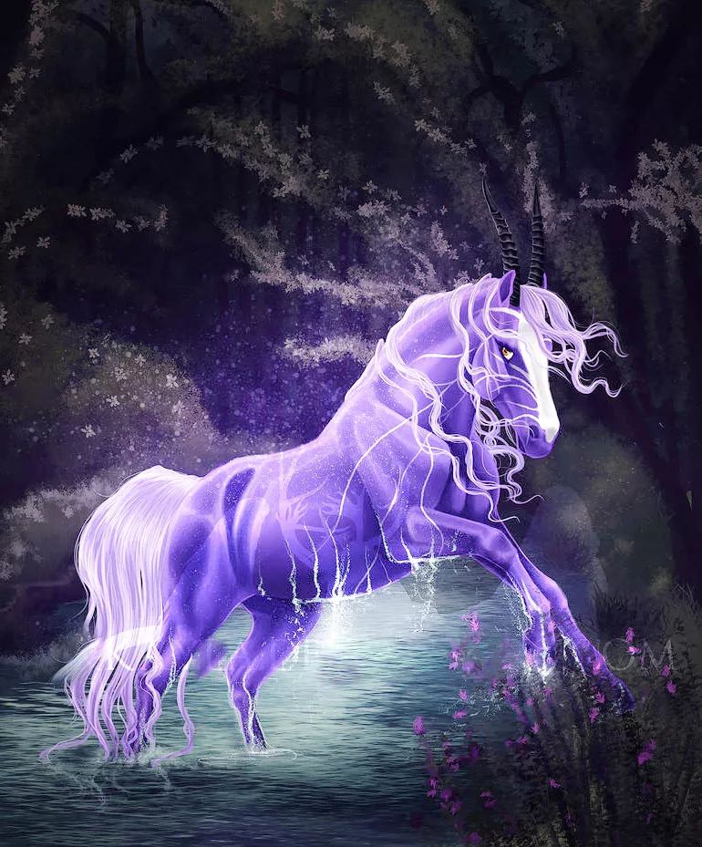 知乐日记:独角兽的圣诞祝福