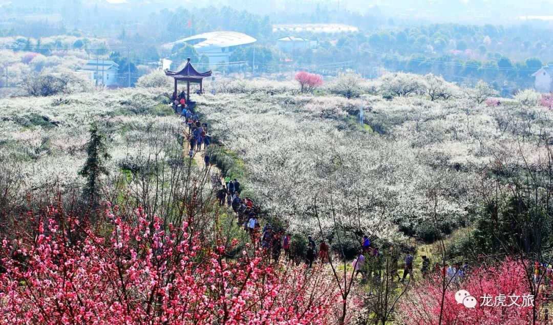 溧水四季,带你玩转南京溧水,这里有你未曾发现的美景