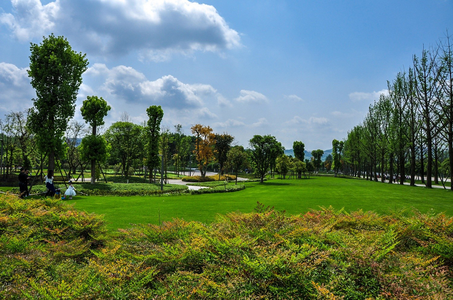 重庆市内公园图片