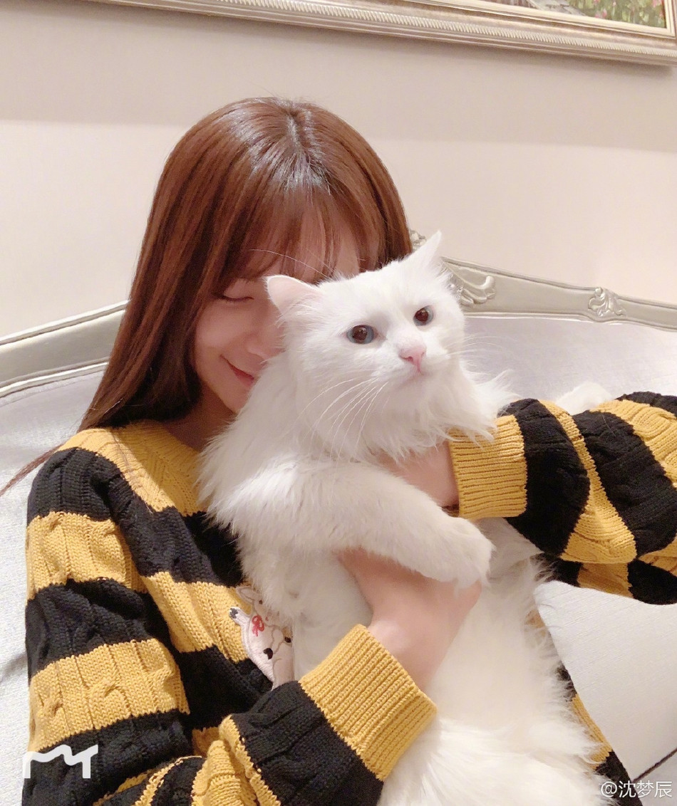 沈梦辰和猫咪合照.萌化人心.