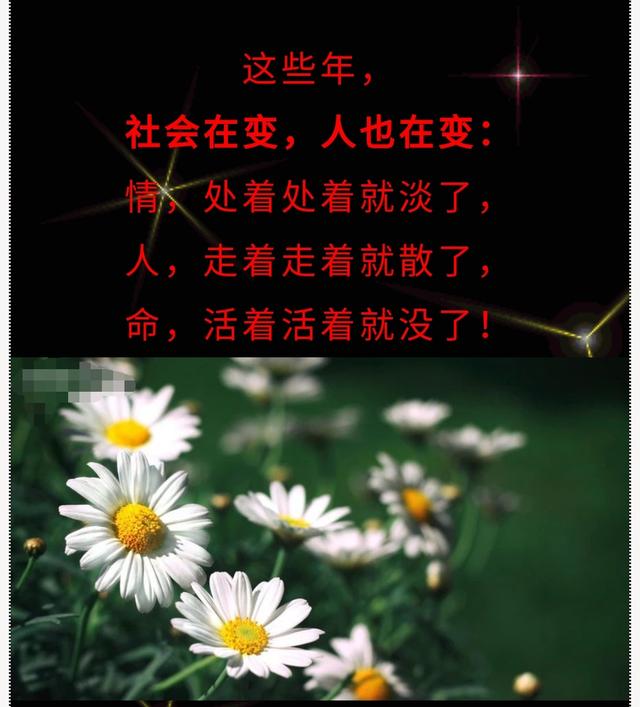 人,走着走着就散了,命,活着活着就没了,愿我们好好享受当下!