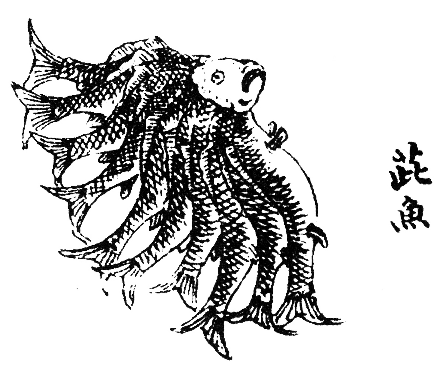 有木焉,其状如杨而赤理,其汁如血,不实,其名曰芑qǐ,可以服马.