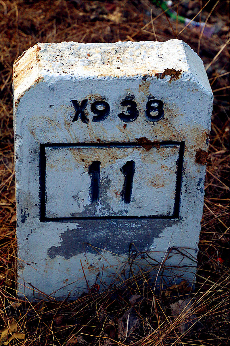 路边的里程碑指明此路为县道.石碑给人一种很厚实的感觉