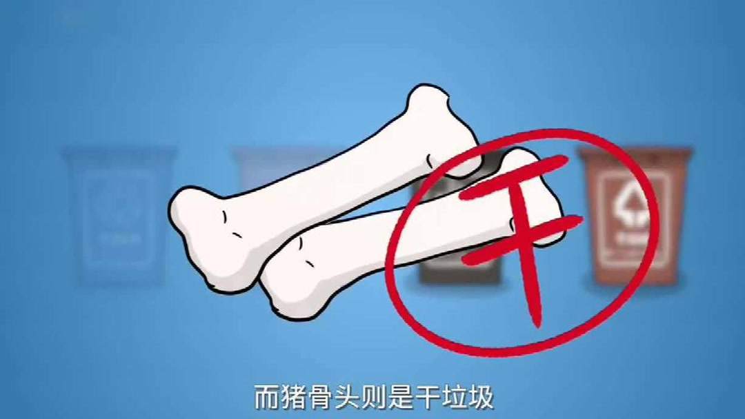 科普垃圾分类的标准