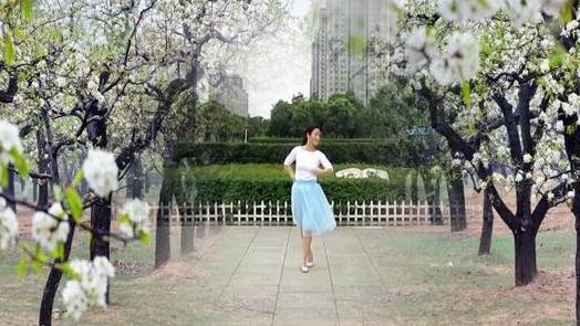 阜宁麦子广场舞《梨花飞情人泪》 编舞:雨夜