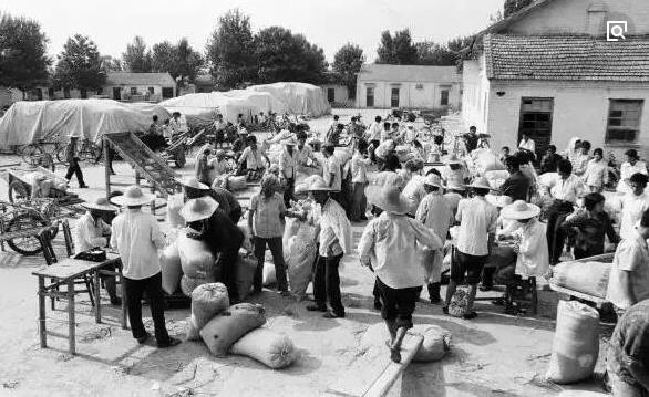 珍贵的70年代老照片,图五交公粮的场面现在已经见不到