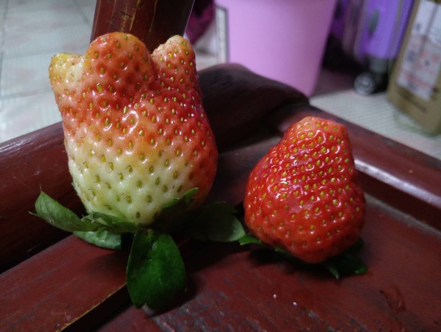 这种像花朵的草莓能吃吗?草莓棚大爷教你5招,辨别激素草莓