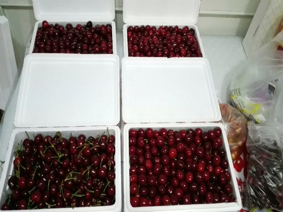 樱桃是怎么长出来?我和我的樱桃种植