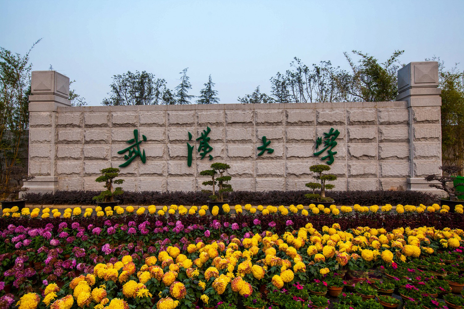 武汉大学校园风景实拍