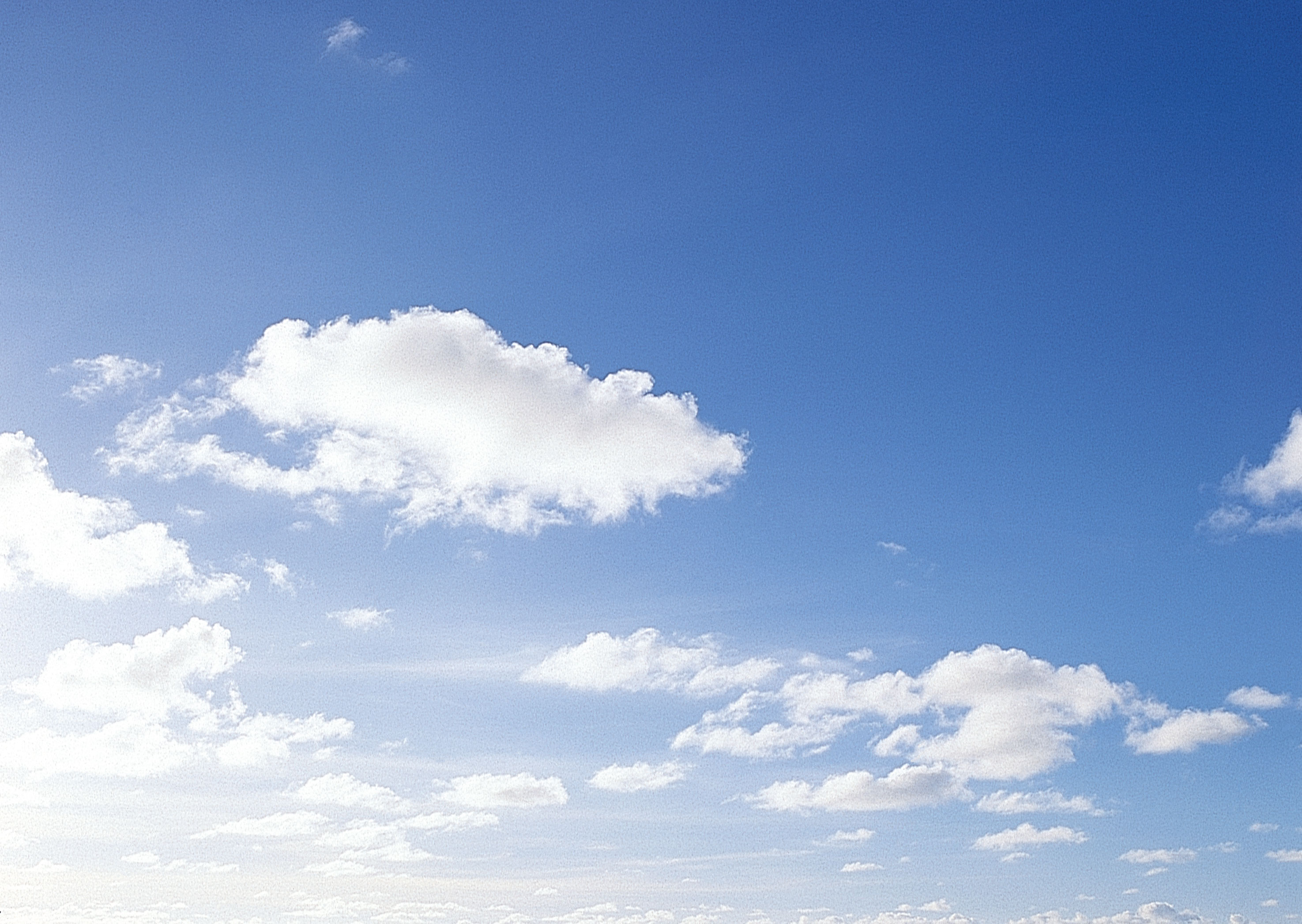 阳光照射在天空中,看上去耀眼,让人忍不住露出白牙!