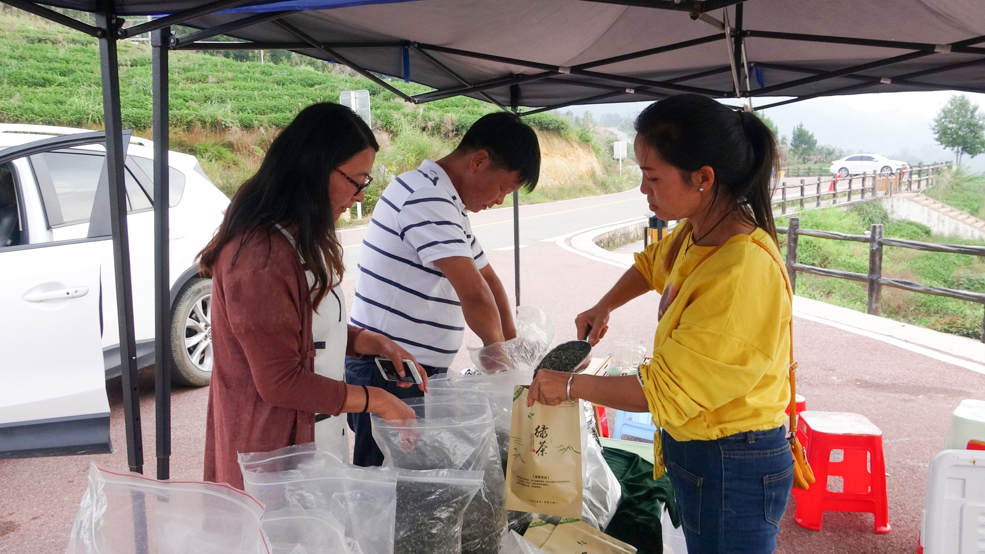 「贵州减贫奇迹」独山贫困户杨启武:告别苦巴巴的日子,种茶年入6万元!