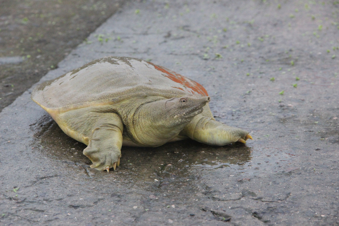 温室建造 - 热门商品专区