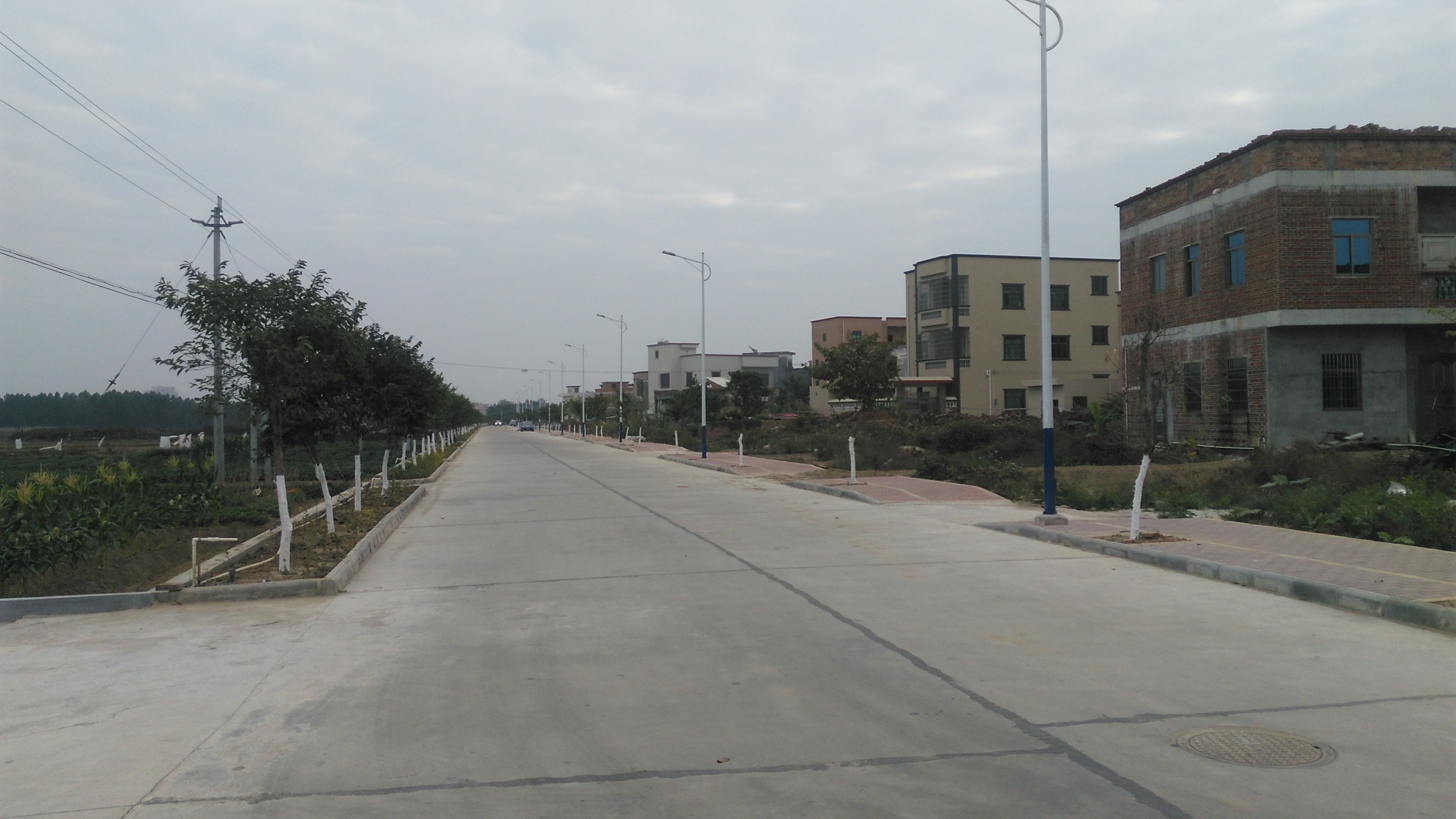 实拍广东吴川市黄坡镇郑屋村,带你们去看看啦