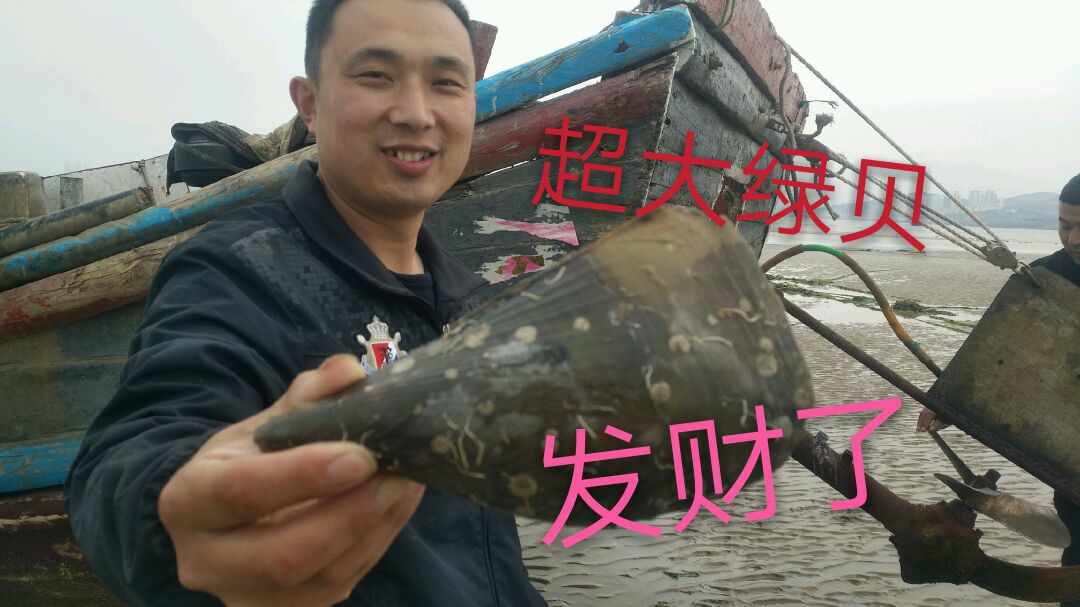 疯哥深水区赶海,八爪鱼等各种海鲜就是多,还抓到猛货和捡到玉石