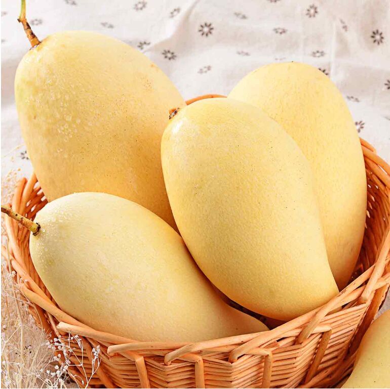 最好吃的10个芒果品种,第一个堪称芒果中的贵族,第九种带湿毒!