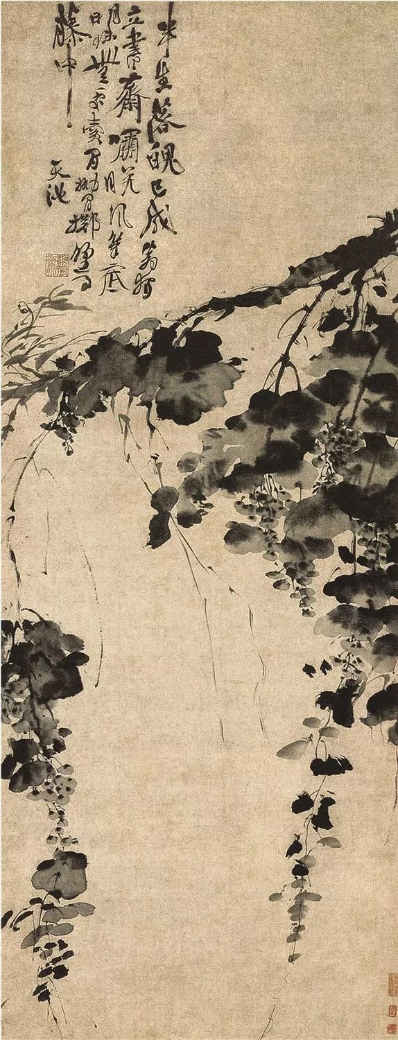 中国美术史:青藤白阳——徐渭,陈淳