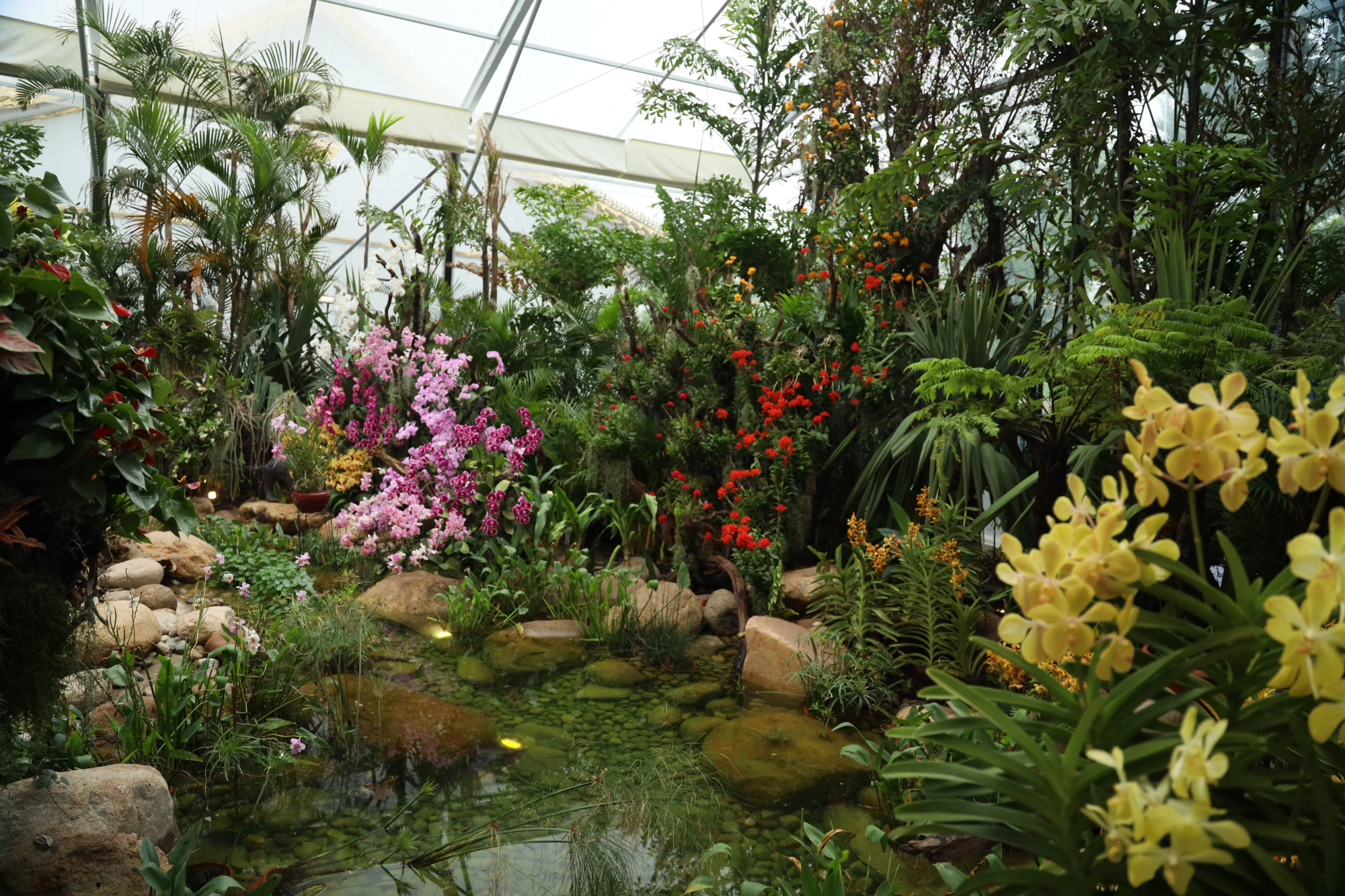 新加坡园,大温室造型,以展示极具特色的兰科热带植物为主