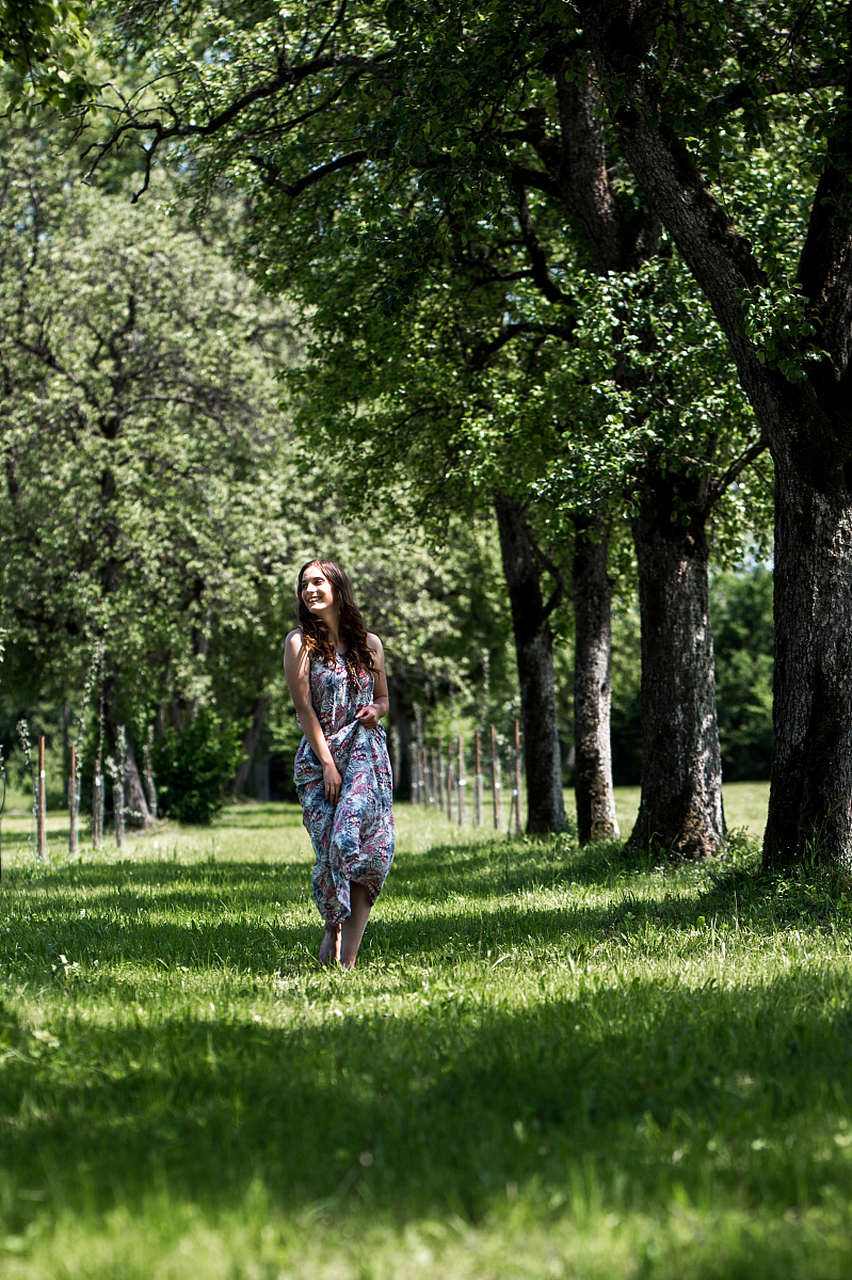 树林里的风,从左向右吹拂,中间是一条笔直的小路