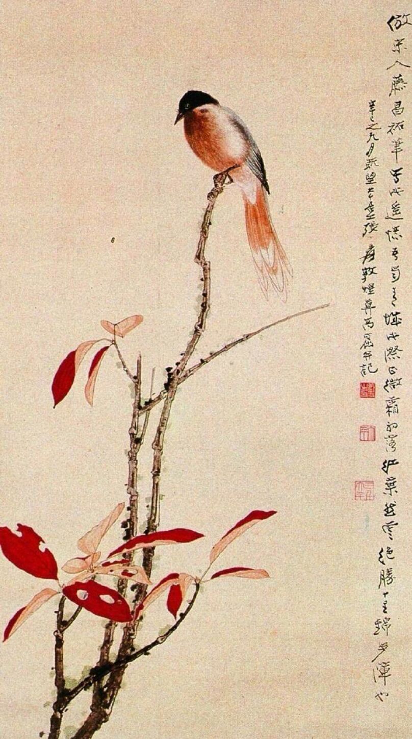 张大千工笔花鸟画欣赏