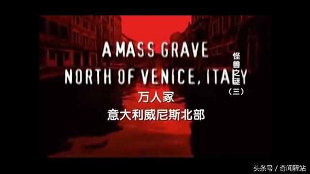 怪兽之谜——藏于橱柜里的怪物是什么