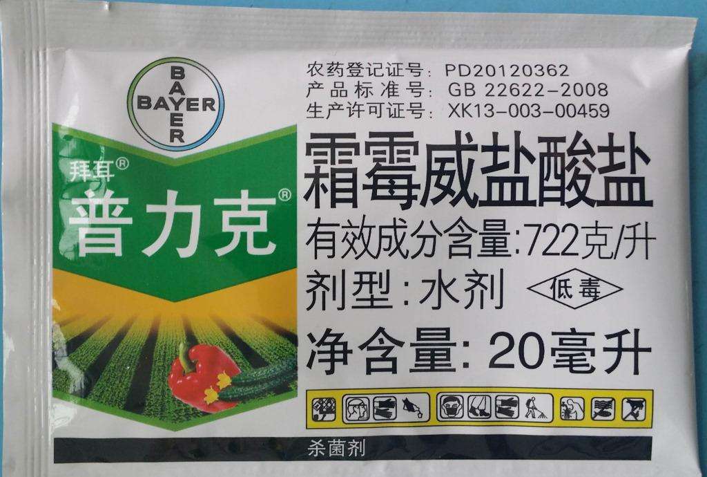 对于病害黄叶,施用普力克600倍液加Ⅳf500倍液杀菌剂进行防治