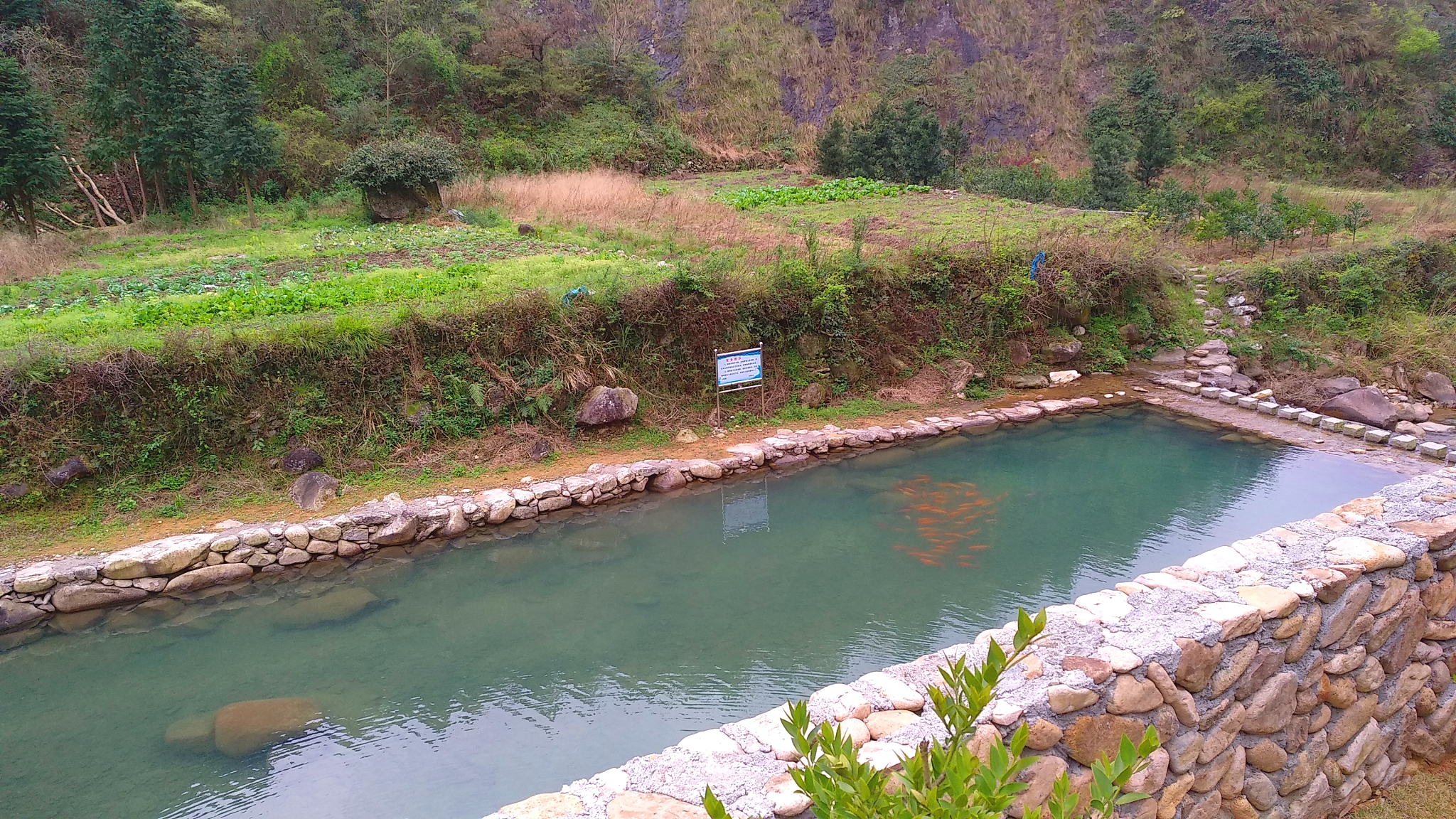 毅力之行 || 雁湖岗团建记