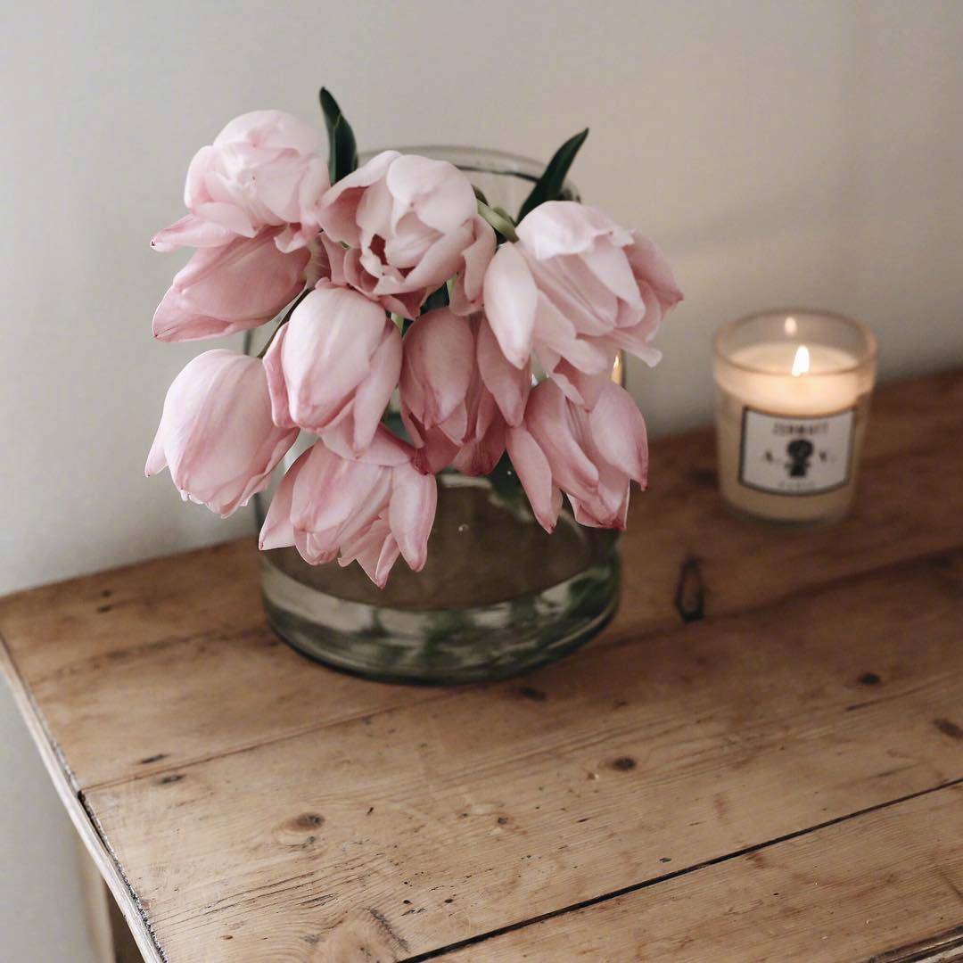 ins图集丨粉色的郁金香,每张都充满治愈的美感