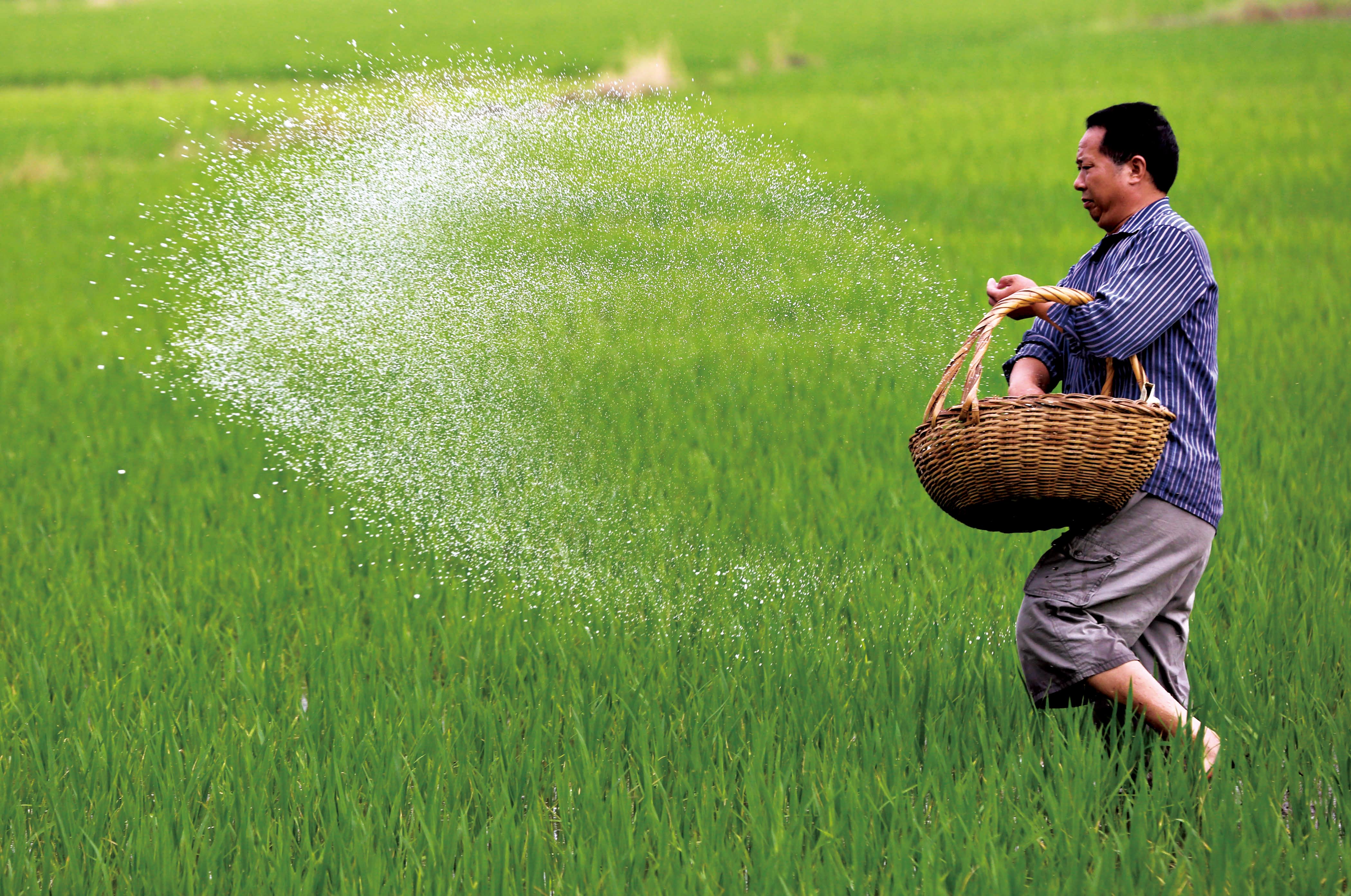 今年政策你了解多少?这几点农民伯伯应该知道