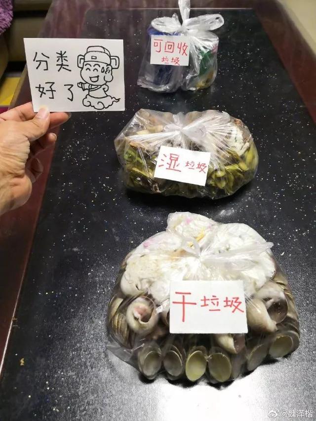 “你是什么垃圾”上海朋友垃圾分类真的太拼了！外地游客瑟瑟发抖
