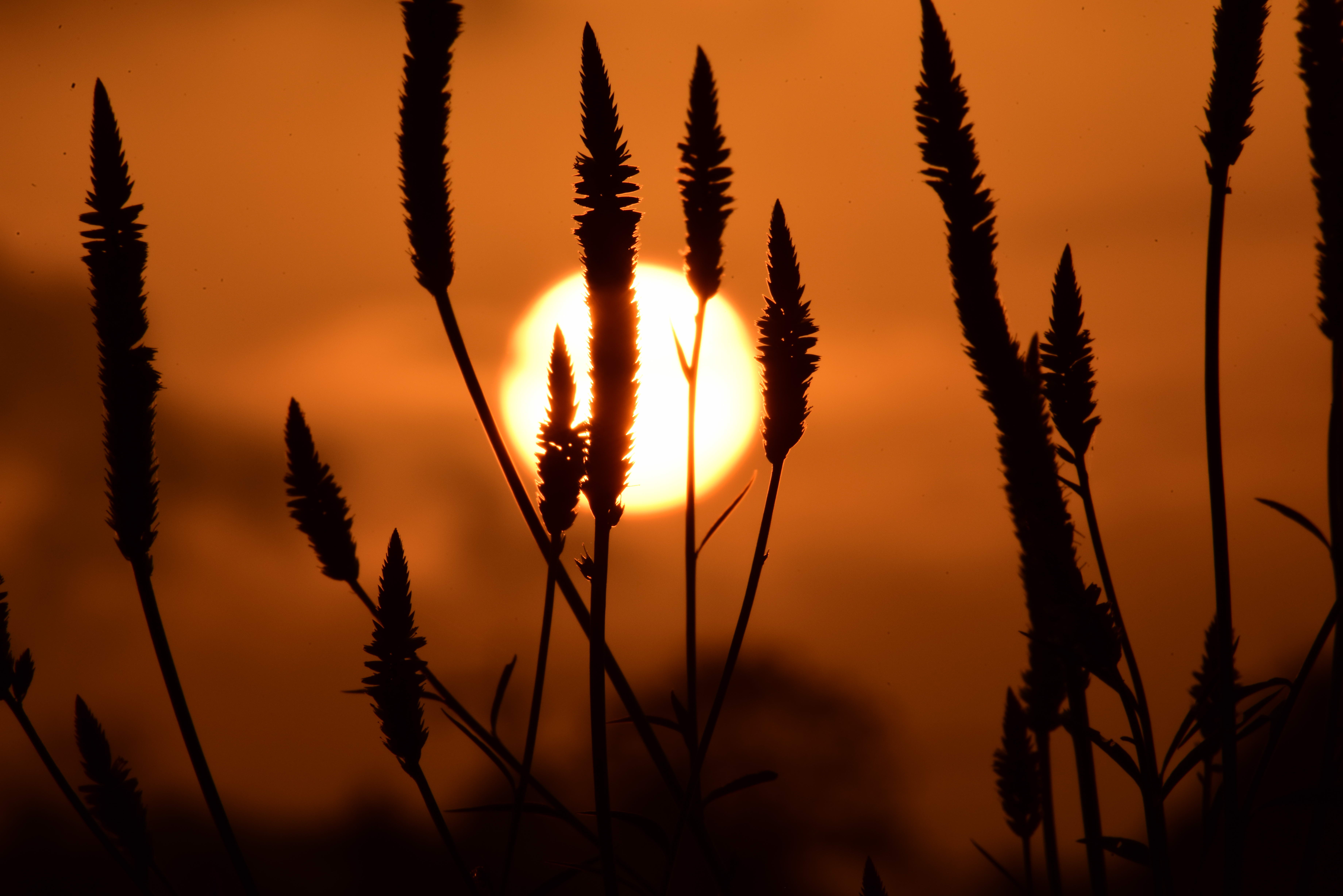 海南琼海:和暖如春霞光艳