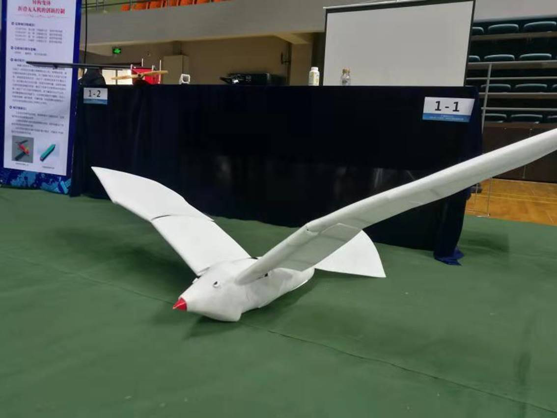 扑翼机为什么没有被大量运用在军事领域?技术难度大,实用性太差