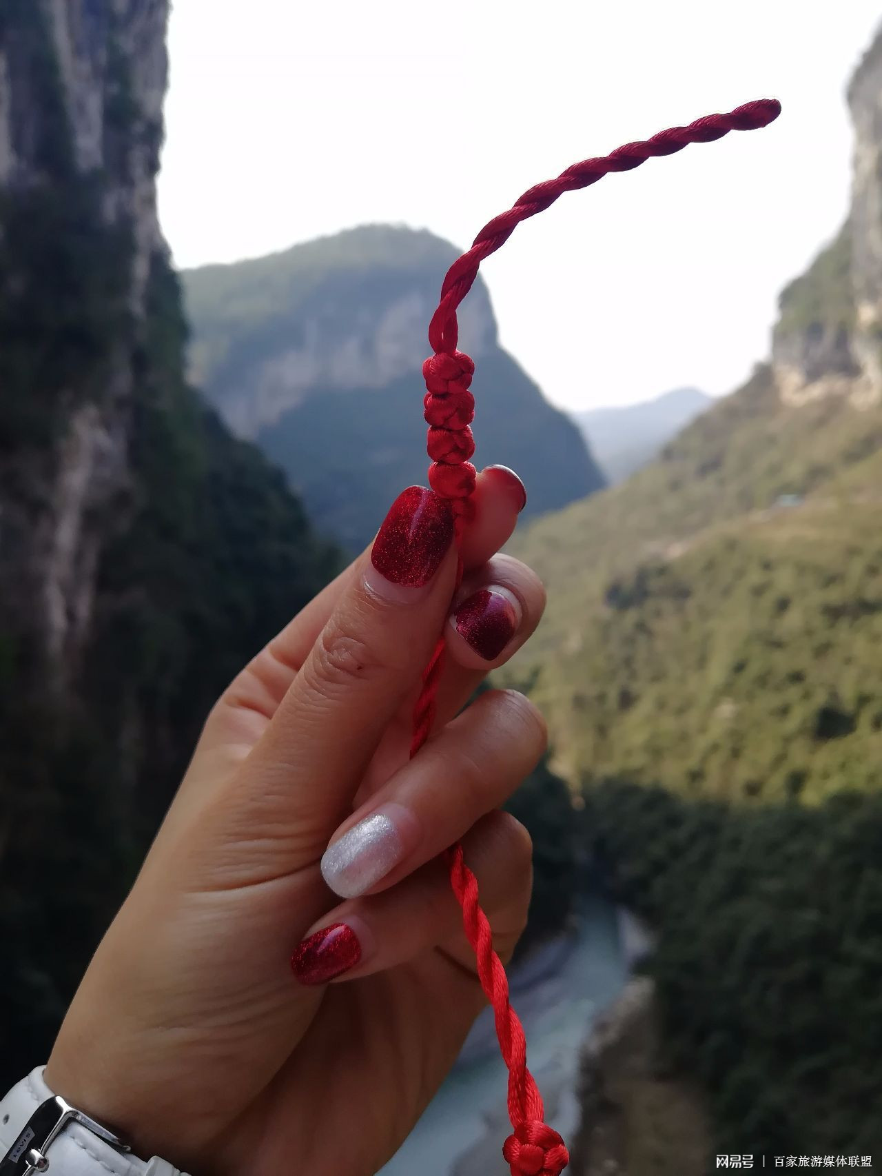 湖北石门河的悬崖边有颗神树,树皮红灰相间,被人成为"马灵光"