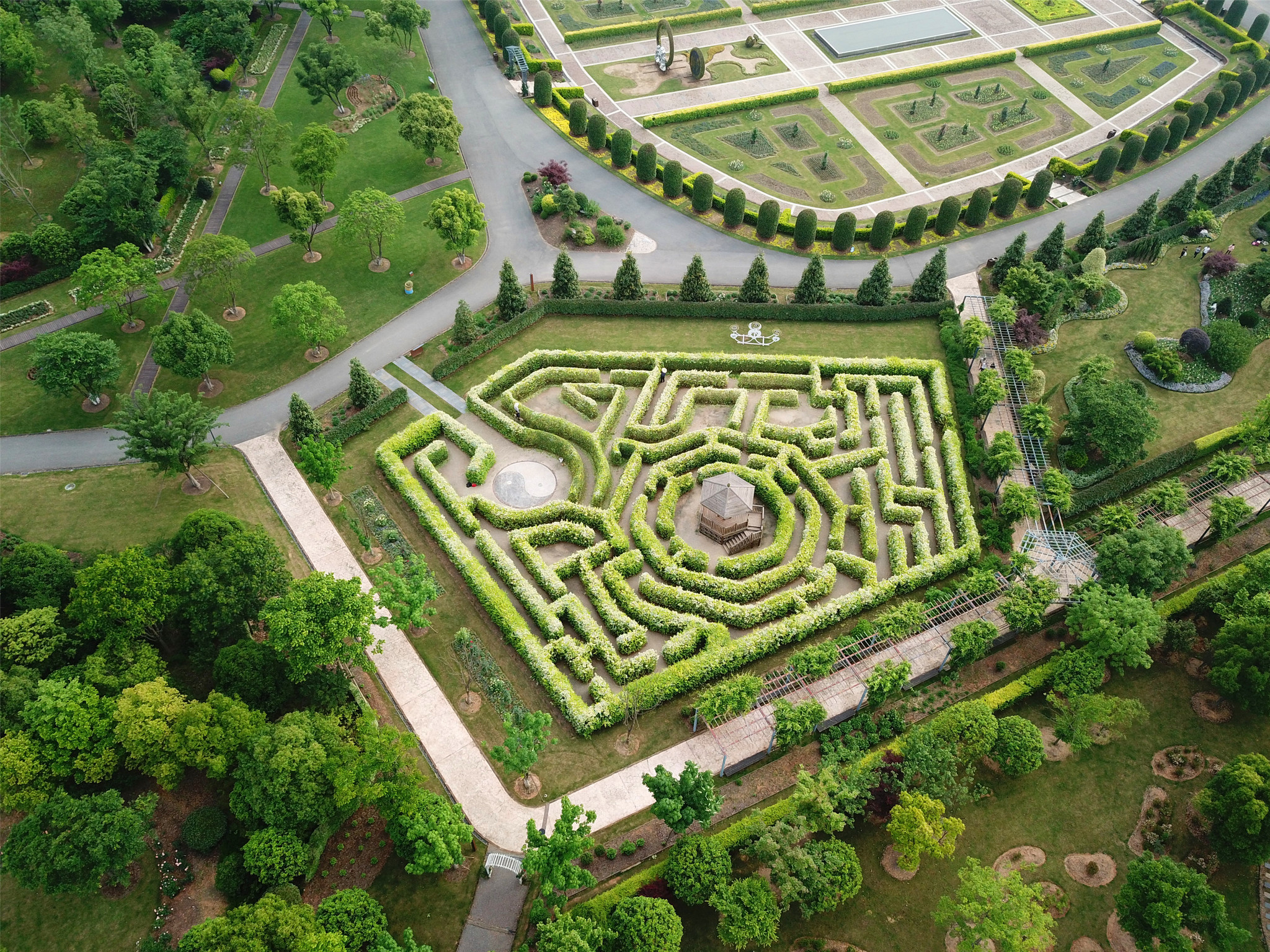 "航拍江西龙虎山植物"太极迷宫""