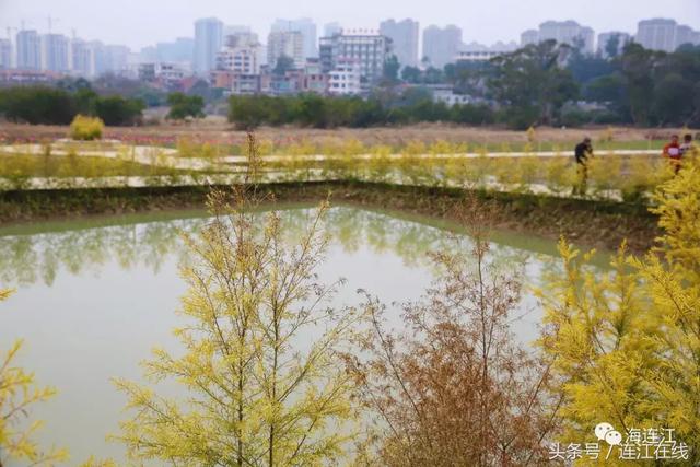 连江今举行"含光生态公园,敖江休闲步道"开园仪式!后有攻略