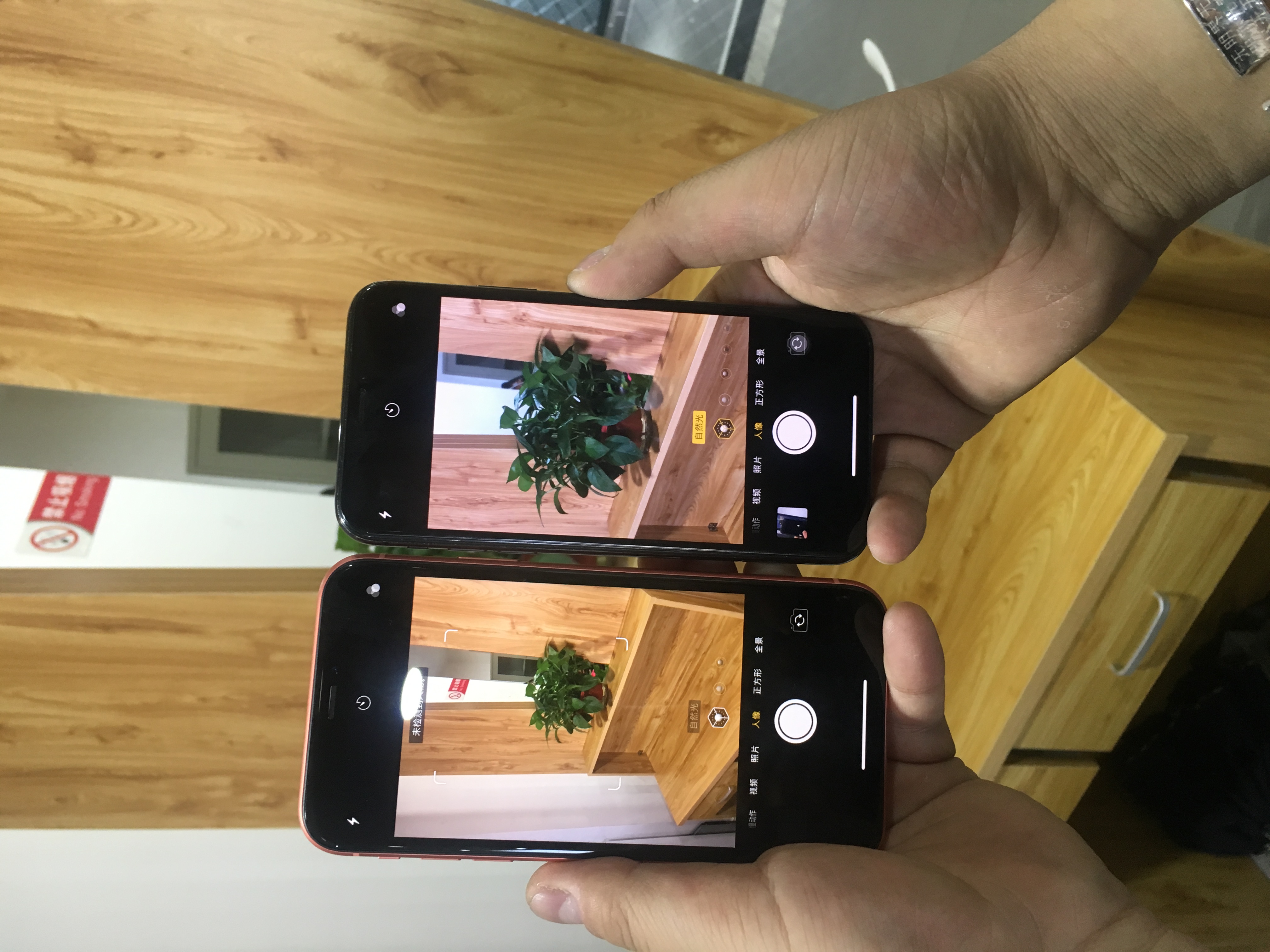 这是和iphonex的拍照效果对比2