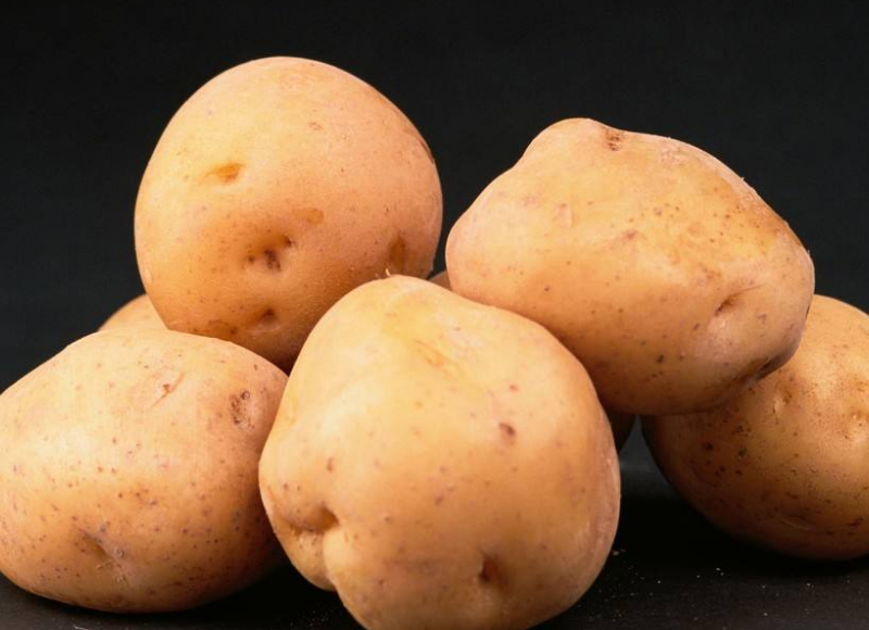 圆圆讲三农:想种好马铃薯并不难,田间管理需要做到这些细节