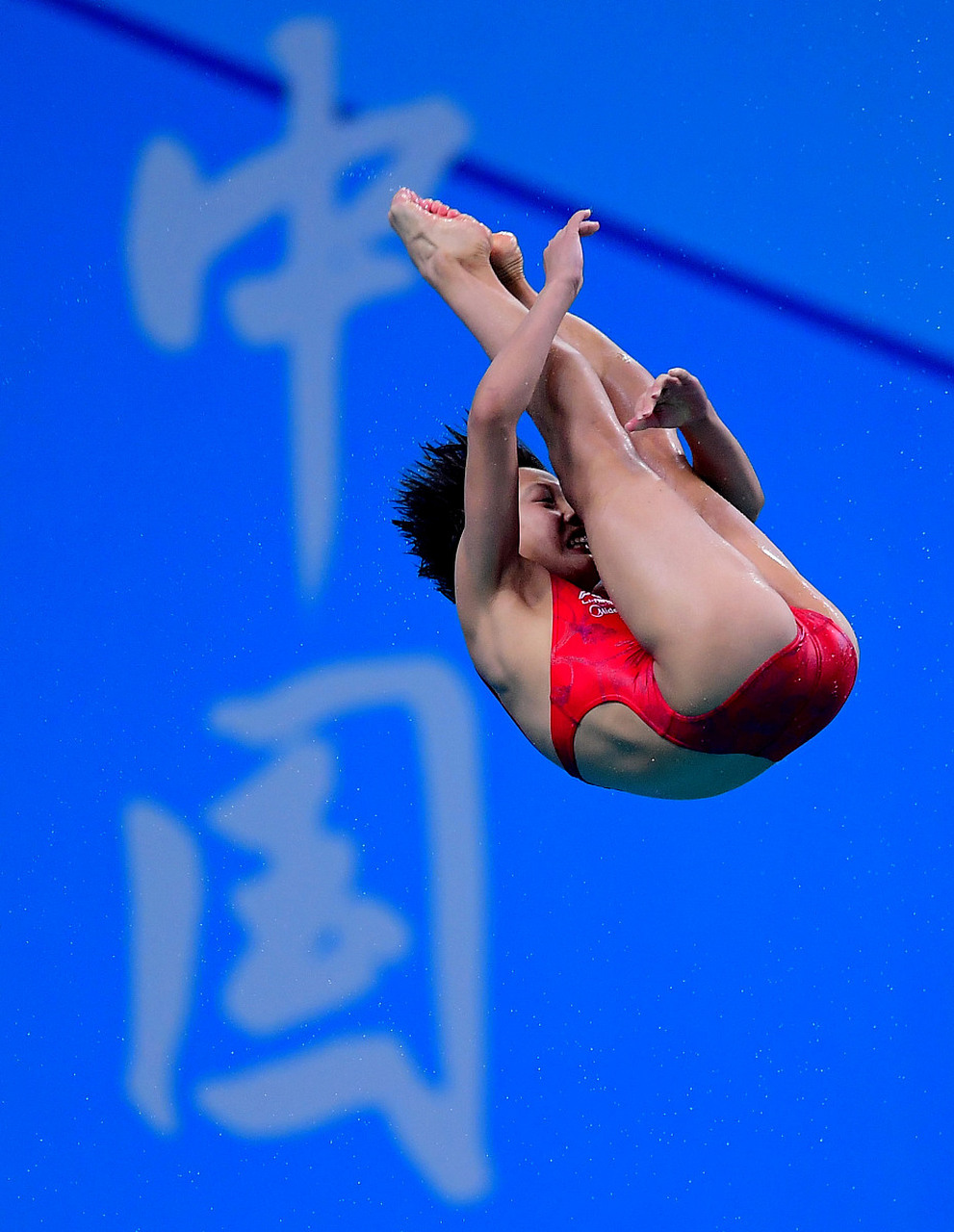 中国跳水梦之队