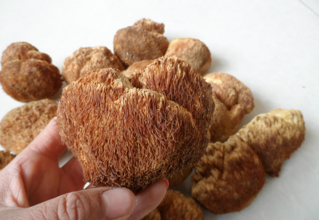 姑- 热门商品专区