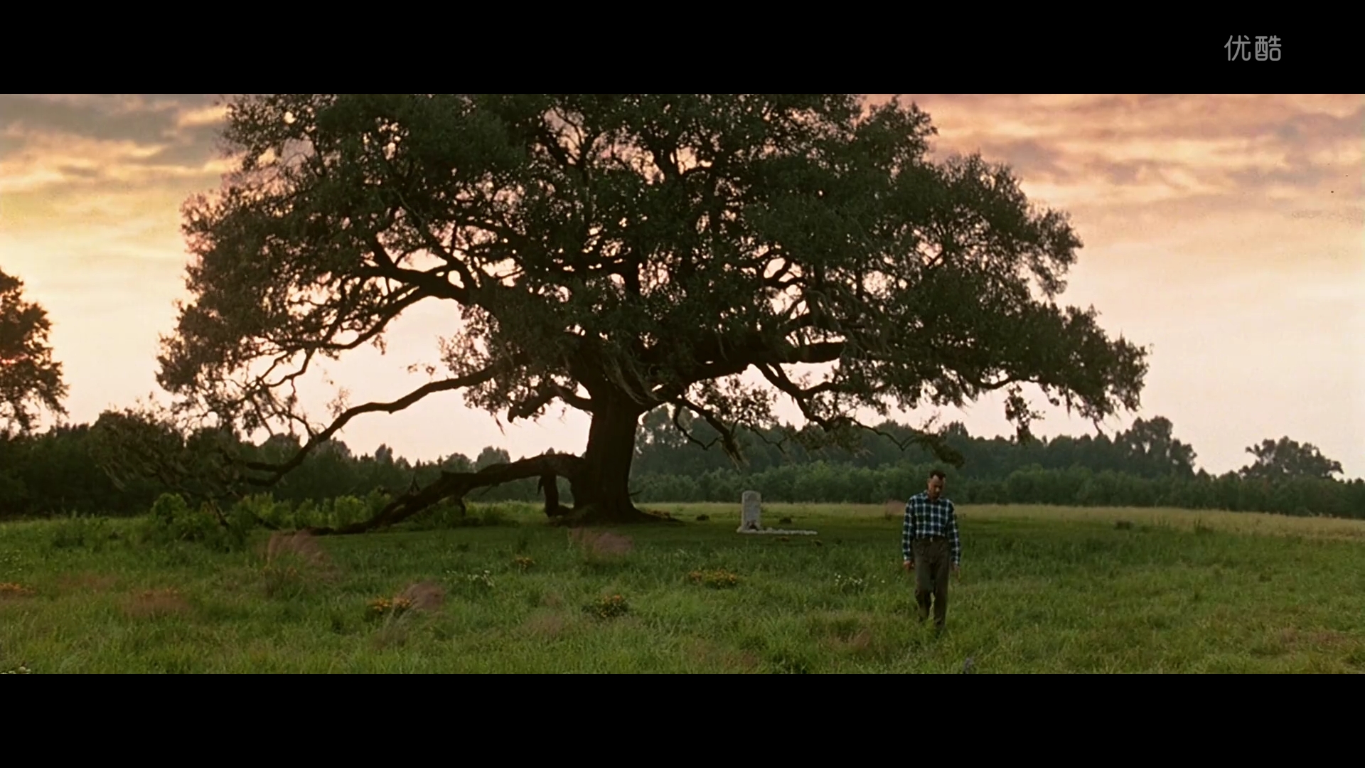 丈夫入狱10年选择离婚,因绯闻无戏可拍,现用4部戏"霸屏"