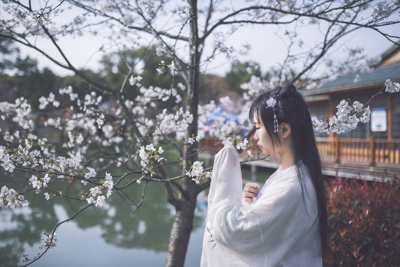 武汉大学樱花还没有完全盛开,学子们就为校园限流想出了怪招