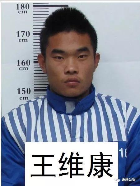 悬赏500-20000!蓬莱警方发布通告征集曲大志犯罪团伙违法犯罪线索