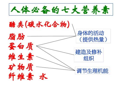 植物蛋白也是需要的,而且人体每天都需要七大营养素,一定要雨露均沾