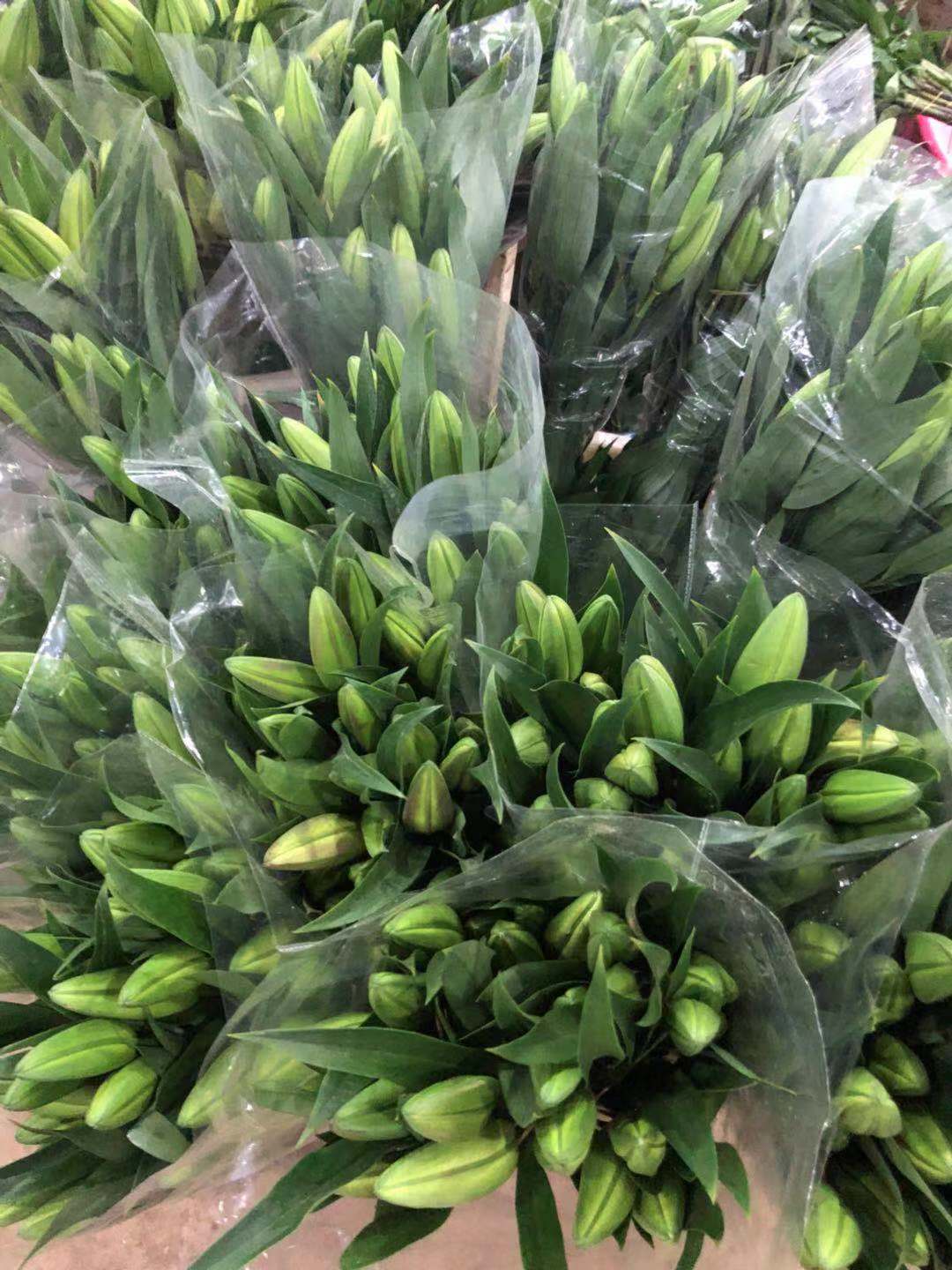 实地探访!周末走进云南昆明斗南花市的百合花市场(多图)