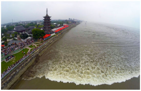 恭喜浙江迎来高铁时代!120亿高铁项目即将入驻,此县将要崛起