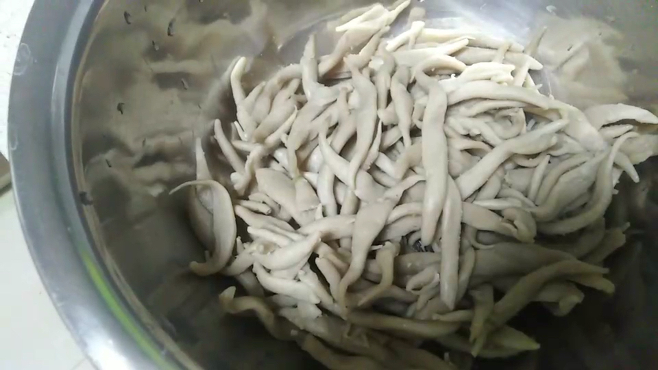 小时候的味道:绿豆芽炒莜面鱼鱼,简单又好吃