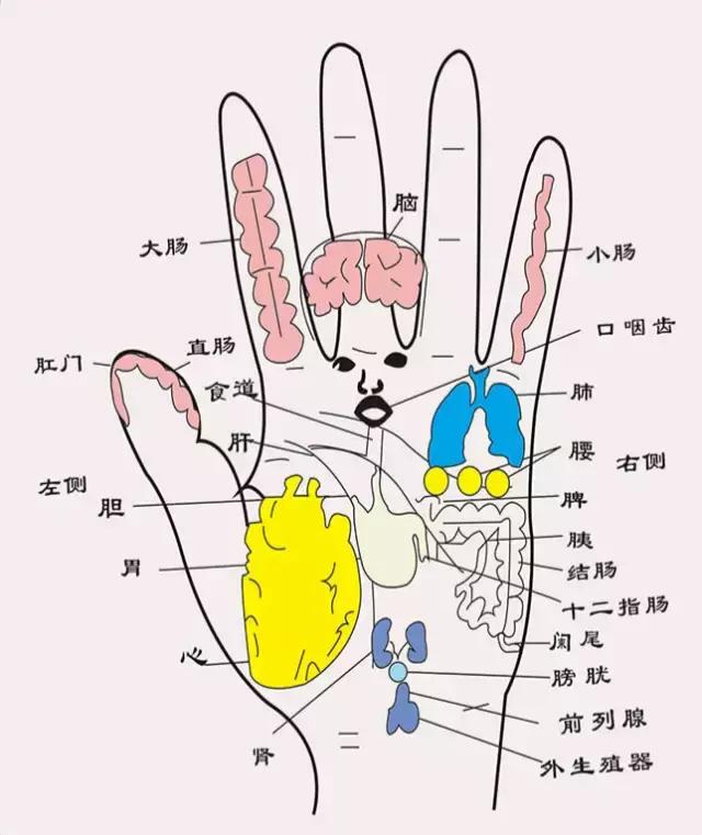 拍手治百病,想不到"拍手"竟然这么神奇!
